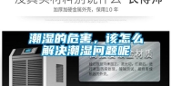 潮湿的危害，该怎么解决潮湿问题呢