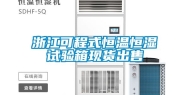 浙江可程式恒温恒湿试验箱现货出售