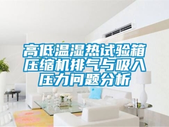 常见问题高低温湿热试验箱压缩机排气与吸入压力问题分析