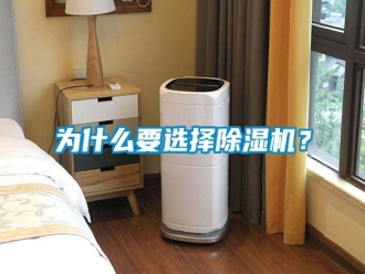 知识百科为什么要选择除湿机？