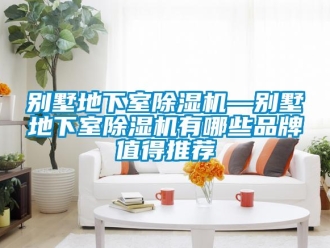 企业新闻别墅地下室除湿机—别墅地下室除湿机有哪些品牌值得推荐