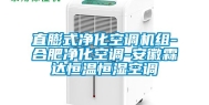 直膨式净化空调机组-合肥净化空调-安徽霖达恒温恒湿空调