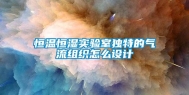 恒温恒湿实验室独特的气流组织怎么设计