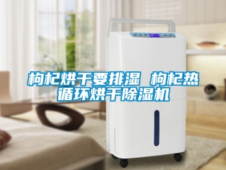 行业新闻枸杞烘干要排湿 枸杞热循环烘干除湿机