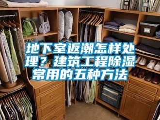 企业新闻地下室返潮怎样处理？建筑工程除湿常用的五种方法
