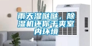 雨天湿哒哒，除湿机还你干爽室内环境