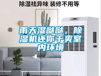 知识百科雨天湿哒哒，除湿机还你干爽室内环境