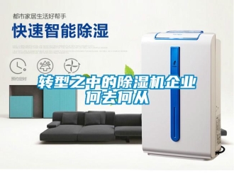 知识百科转型之中的除湿机企业何去何从
