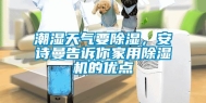 潮湿天气要除湿，安诗曼告诉你家用除湿机的优点