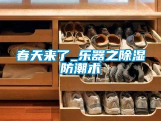 企业新闻春天来了_乐器之除湿防潮术