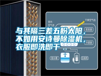 企业新闻与其隔三差五盼太阳，不如用安诗曼除湿机，衣服即洗即干