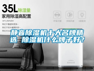 行业新闻静音除湿机十大名牌精选 除湿机什么牌子好？