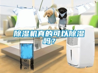 行业新闻除湿机真的可以除湿吗？