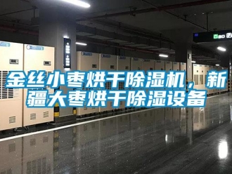 行业新闻金丝小枣烘干除湿机，新疆大枣烘干除湿设备