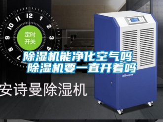 行业新闻除湿机能净化空气吗 除湿机要一直开着吗