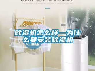 行业新闻除湿机怎么样—为什么要安装除湿机