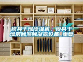 行业新闻模具干燥除湿机，模具干燥房除湿除凝露设备_重复