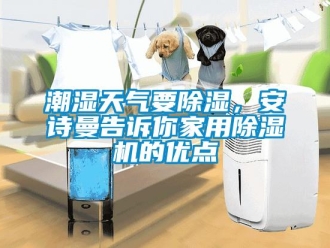 企业新闻潮湿天气要除湿，安诗曼告诉你家用除湿机的优点