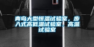 青岛大型恒温试验室，步入式高低温试验室，高温试验室