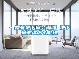 企业新闻一楼有地下室会潮吗 地下室潮湿怎么处理