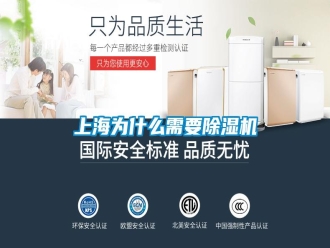 知识百科上海为什么需要除湿机