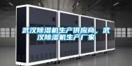武汉除湿机生产供应商，武汉除湿机生产厂家