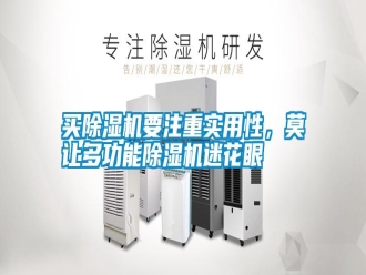 行业新闻买除湿机要注重实用性，莫让多功能除湿机迷花眼
