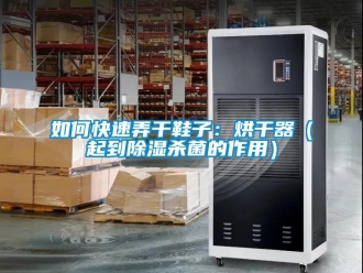 行业新闻如何快速弄干鞋子：烘干器（起到除湿杀菌的作用）