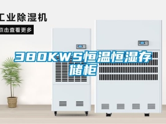 常见问题380KWS恒温恒湿存储柜