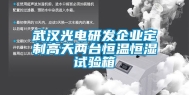 武汉光电研发企业定制高天两台恒温恒湿试验箱