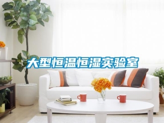 知识百科大型恒温恒湿实验室