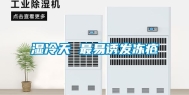 湿冷天 最易诱发冻疮