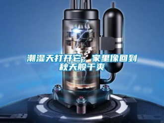 企业新闻潮湿天打开它，家里像回到秋天般干爽