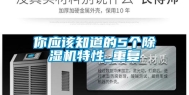 你应该知道的5个除湿机特性_重复