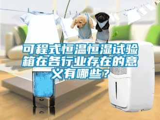知识百科可程式恒温恒湿试验箱在各行业存在的意义有哪些？