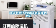 除湿机烘干的腊味更美味更卫生
