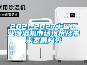 常见问题2021-2027中国工业除湿机市场现状及未来发展趋势