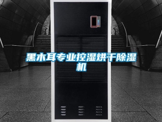 行业新闻黑木耳专业控湿烘干除湿机