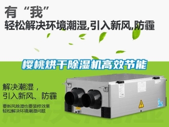 知识百科樱桃烘干除湿机高效节能