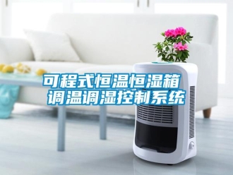 知识百科可程式恒温恒湿箱 调温调湿控制系统