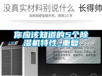 行业新闻你应该知道的5个除湿机特性_重复