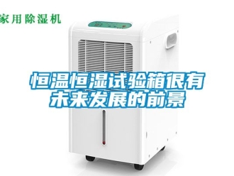 知识百科恒温恒湿试验箱很有未来发展的前景
