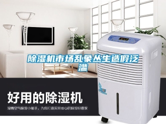 行业新闻除湿机市场乱象丛生造假泛滥