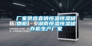 厂家供应直销恒温恒湿储物柜   湖南恒温恒湿储存柜生产厂家