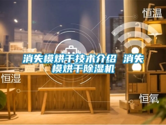 行业新闻消失模烘干技术介绍 消失模烘干除湿机