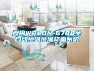 知识百科盘锦WRLDN-6700全自动恒温恒湿称重系统
