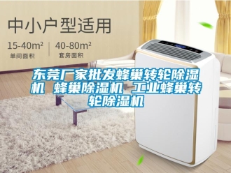 企业新闻东莞厂家批发蜂巢转轮除湿机 蜂巢除湿机 工业蜂巢转轮除湿机