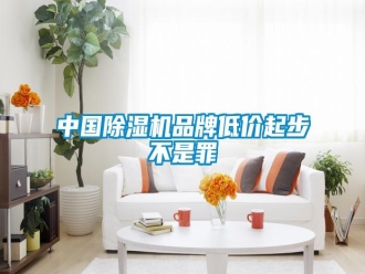 知识百科中国除湿机品牌低价起步不是罪