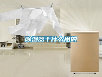 行业新闻除湿器干什么用的