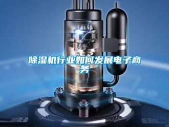 常见问题除湿机行业如何发展电子商务
